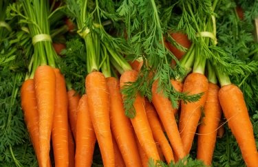 Фото до матеріалу: Морква дорожчає: ціни в Україні зросли на 22% через дефіцит запасів