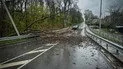 Фото до матеріалу: Сильний вітер у Києві повалив дерево на могилу Лесі Українки: що тепер з пам’ятником