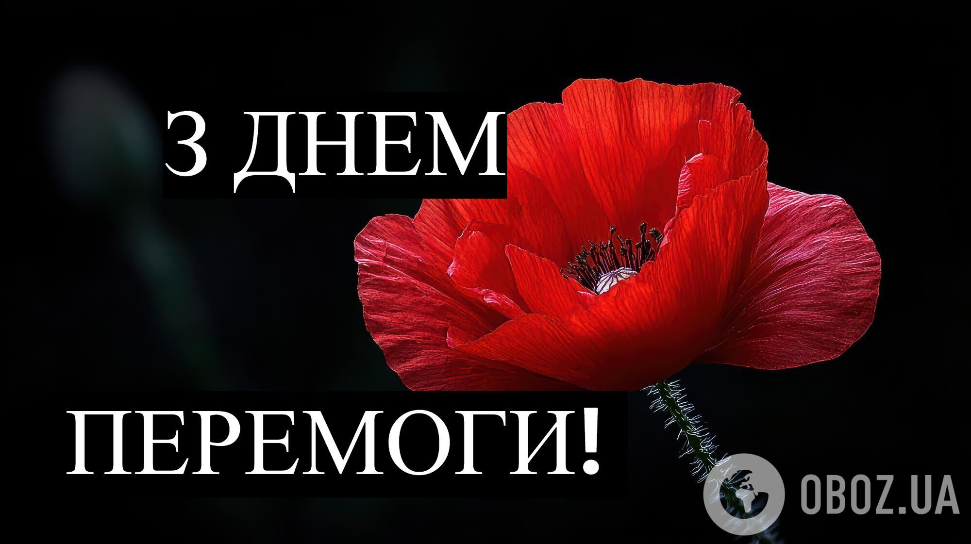 Фото до матеріалу: День пам'яті та перемоги: як українці вшановують героїв та об'єднуються заради миру