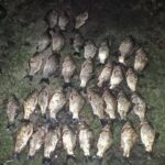 Фото до матеріалу: Криворізькі школи отримали майже 3 тисячі комп'ютерів та оргтехніки