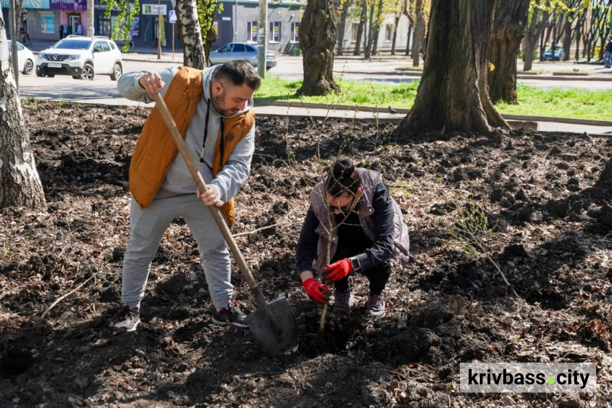 Фото до матеріалу: Молодь ЦГЗК Метінвесту озеленила Покровський район