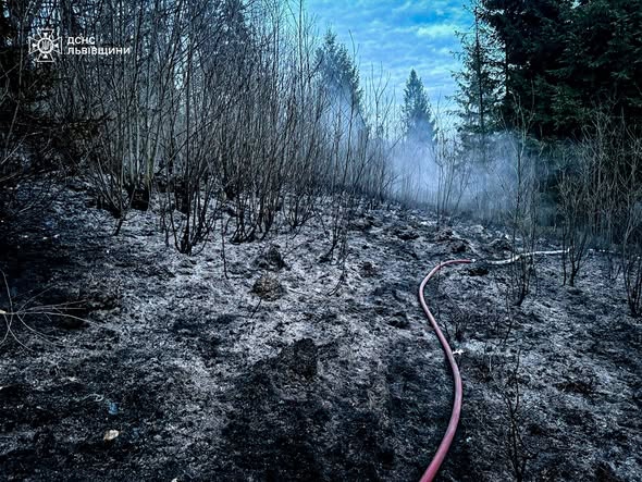 Фото до матеріалу: Десятки пожеж у природі на Львівщині: ДСНС попереджає про загрозу життю