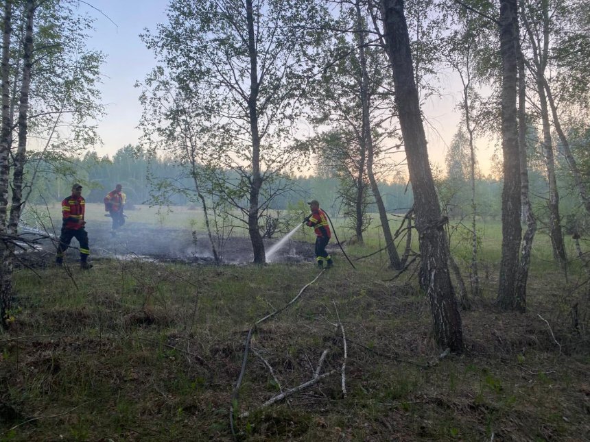 Фото до матеріалу: Пожежа в Чорнобильській зоні локалізована, але триває: який радіаційний фон (фото)
