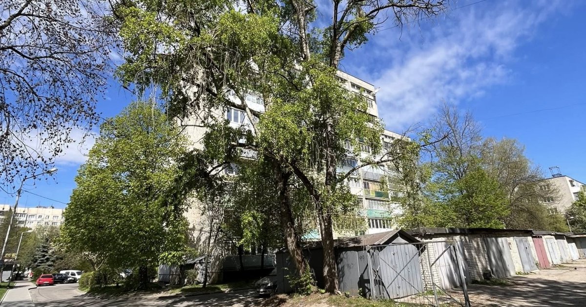 Фото до матеріалу: Львів’яни запідозрили, що фото про обрізку дерев у місті могли згенерувати за допомогою ШІ — LVIV.MEDIA