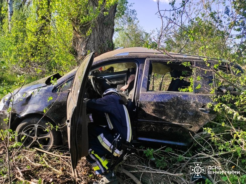Фото до матеріалу: Водія з понівеченого авто на Тепличчині деблокували після зіткнення з деревом