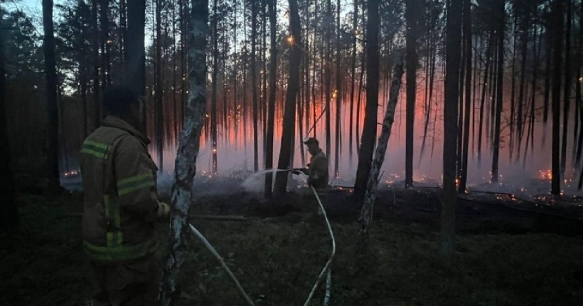 Фото до матеріалу: Лісові пожежі в Україні: 9 осередків на площі понад 2 тисячі гектарів