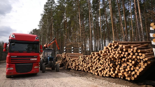 Фото до матеріалу: Ліси України втретє за історію: рекордні надходження до бюджету під керівництвом Юрія Болоховця