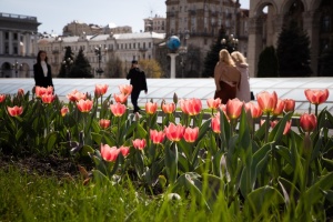 Фото до матеріалу: Поїзд Київ-Ужгород зійшов з рейок на Львівщині через зіткнення з автокраном, є загиблий і поранені