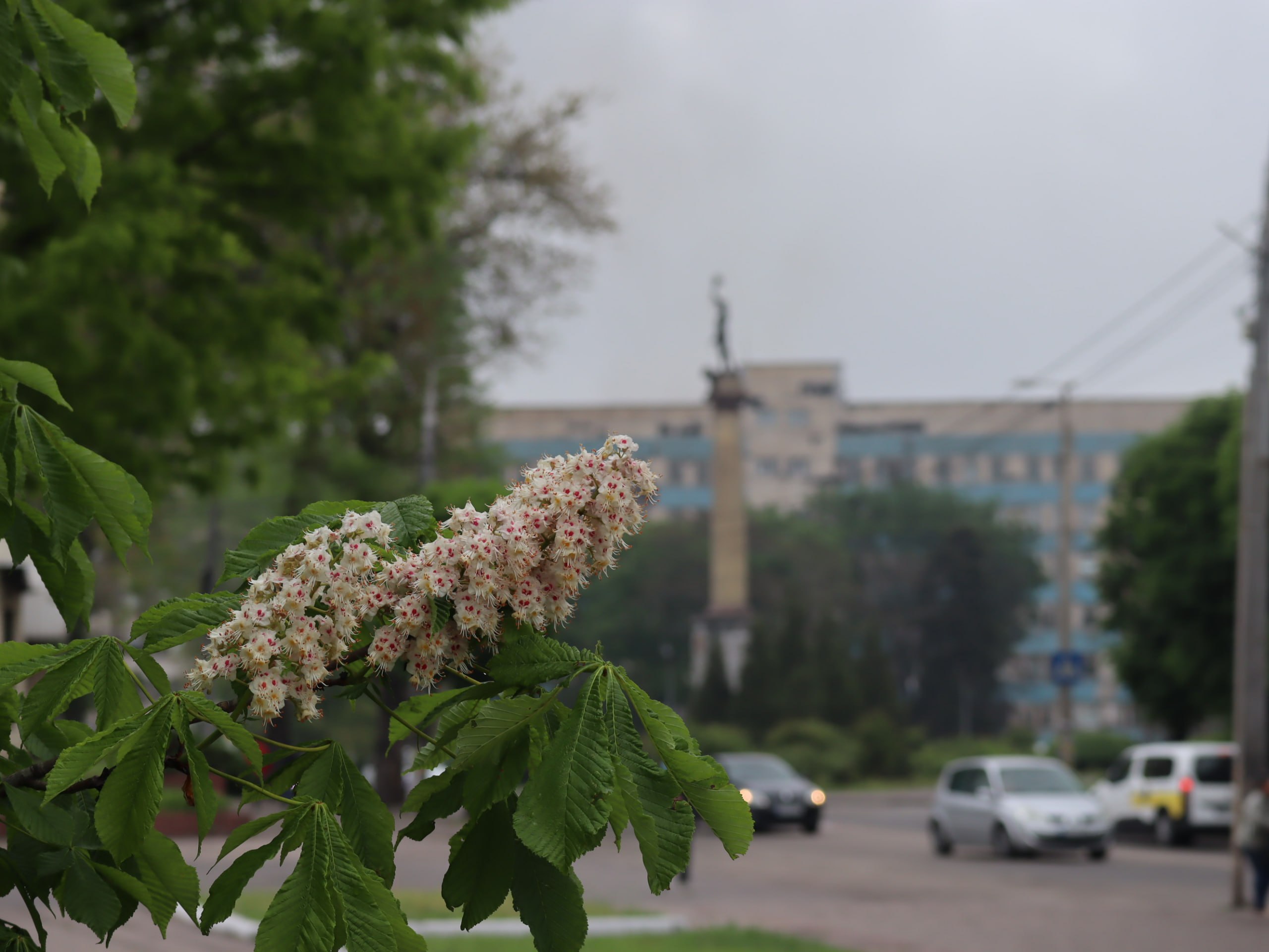 Фото до матеріалу: Погода у Кам’янському 13 травня: суцільна хмарність і дощ