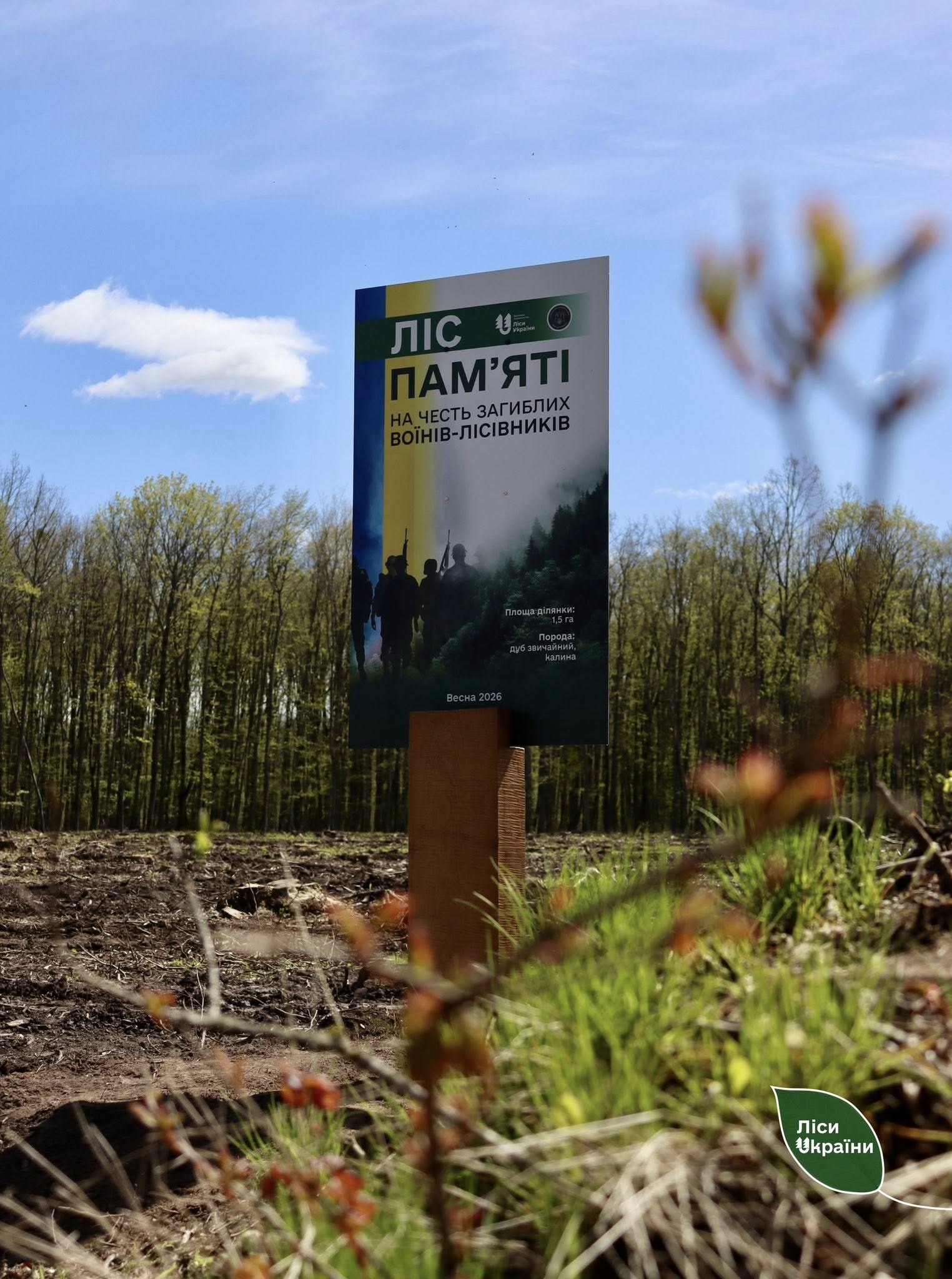Фото до матеріалу: На Черкащині вшанували пам'ять загиблих воїнів-лісівників висадкою «Лісу пам'яті»