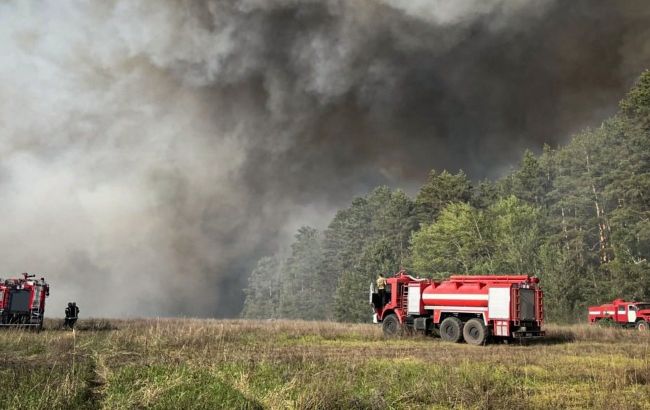 Фото до матеріалу: Лісова пожежа в Бучанському районі: 100 гектарів знищено вогнем