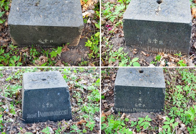 Фото до матеріалу: Таємниці Кутківців: старовинний некрополь та склепи на Хмельниччині