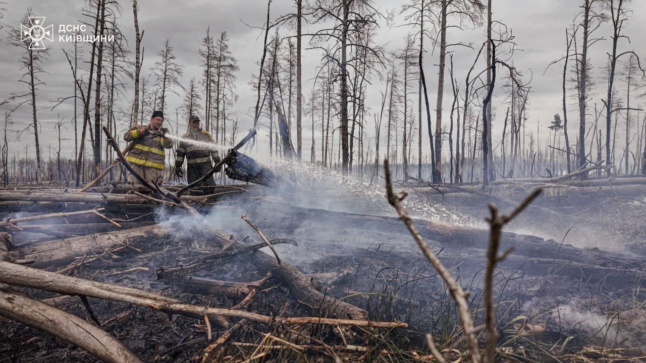 Фото до матеріалу: Посадовець військової частини вимагав 100 тисяч гривень за безперешкодне постачання продуктів для ЗСУ