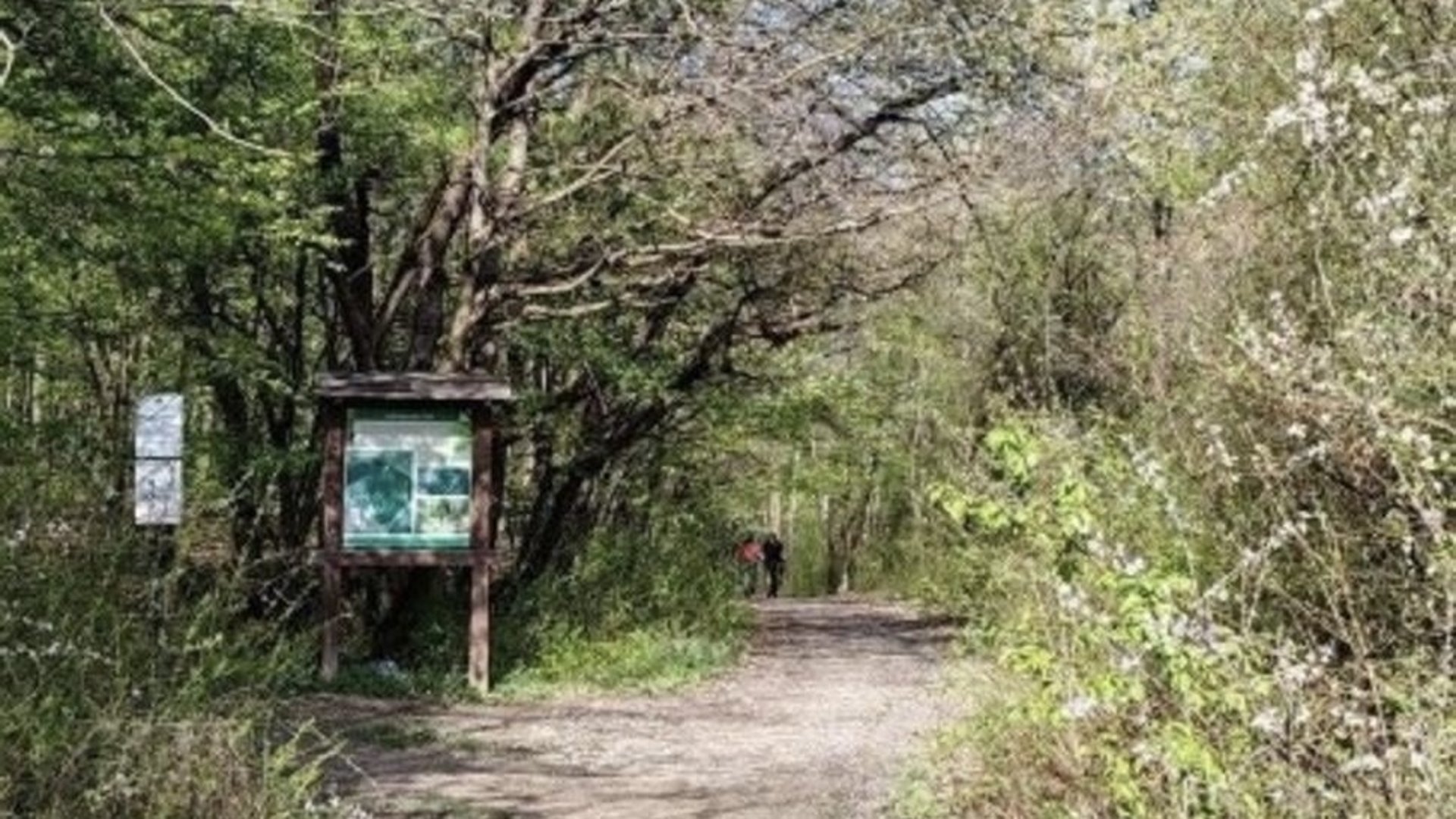 Фото до матеріалу: У Кошицях підлітки побили хлопця через українську мову