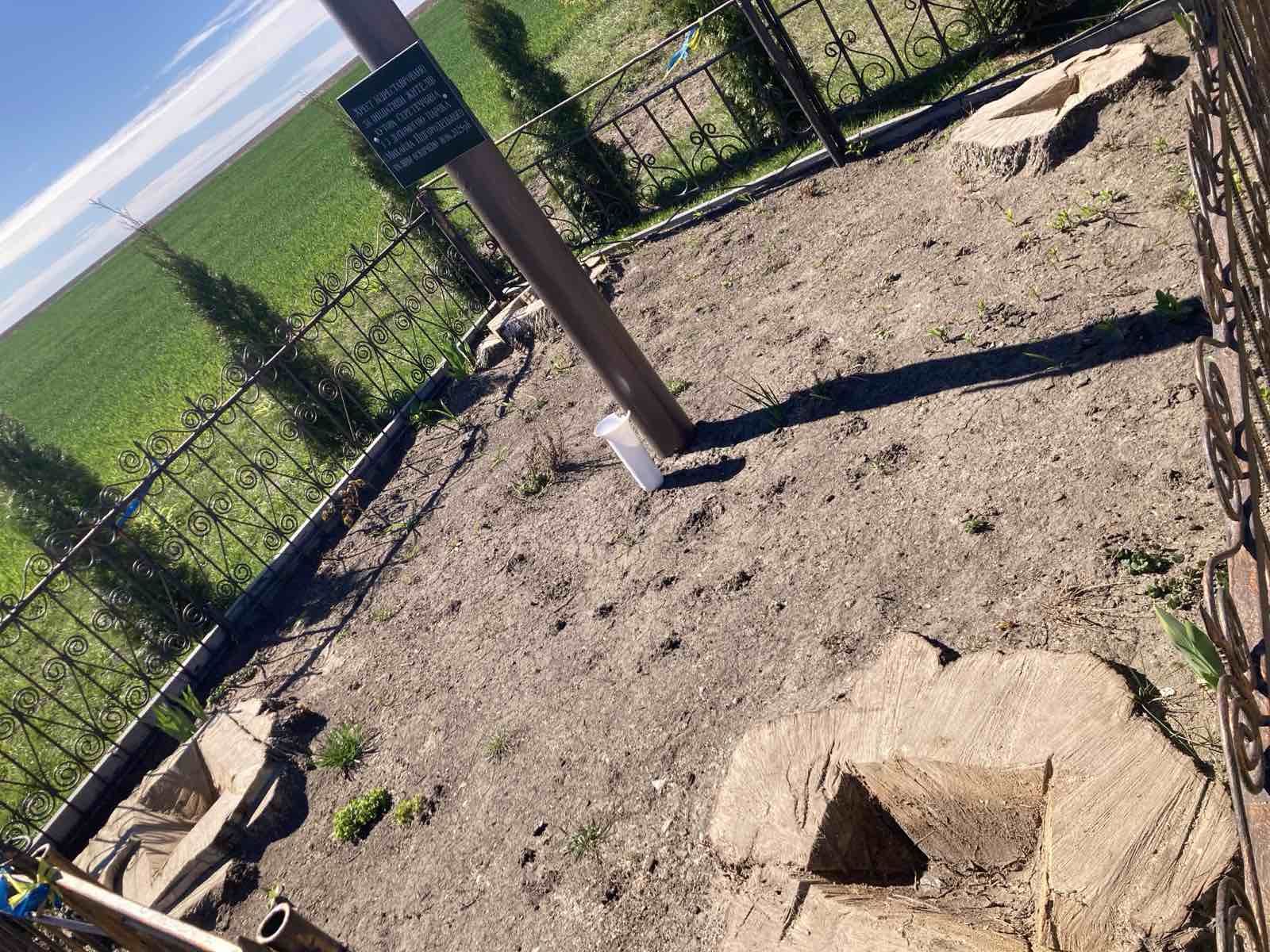 Фото до матеріалу: Залишилися лише пеньки: на Зборівщині невідомі зрубували стародавні липи біля хреста