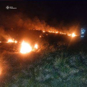 Фото до матеріалу: На Львівщині за добу спалили понад 2,4 га землі: рятувальники попереджають про штрафи