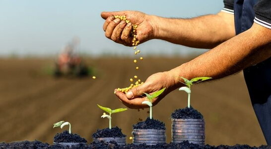 Фото до матеріалу: Тарифи на світло для населення залишаються незмінними до жовтня 2026 року