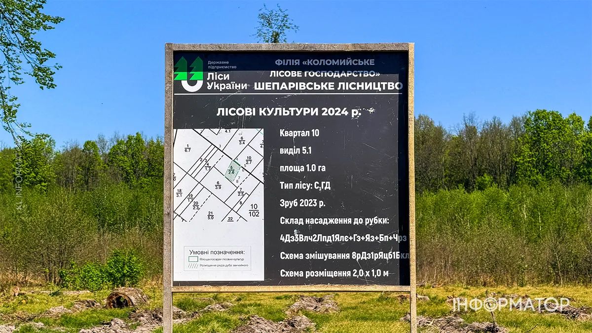 Фото до матеріалу: На Коломийщині висадили понад 3 тисячі дубів у рамках міжнародної акції