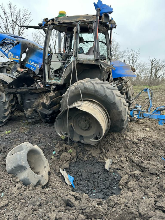 Фото до матеріалу: Вигорілі поля та нові культури: як війна і спека змінюють агробізнес Баштанки