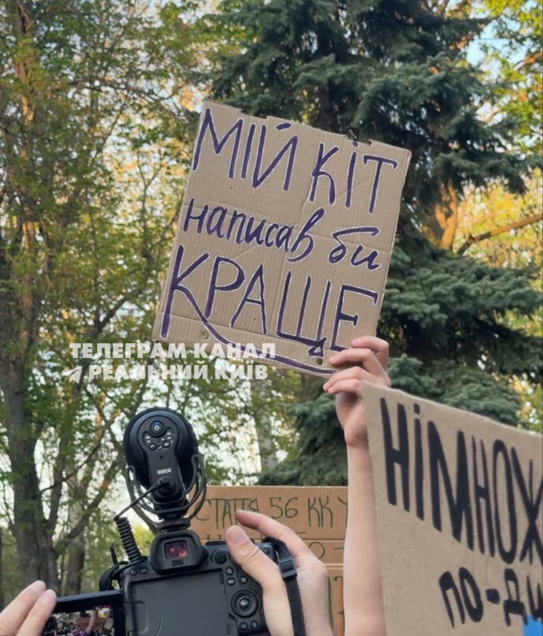 Фото до матеріалу: Протест у Маріїнському парку: активісти вимагають перегляду нового Цивільного кодексу