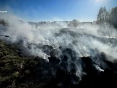 Фото до матеріалу: Табір відпочинку «Росинка»