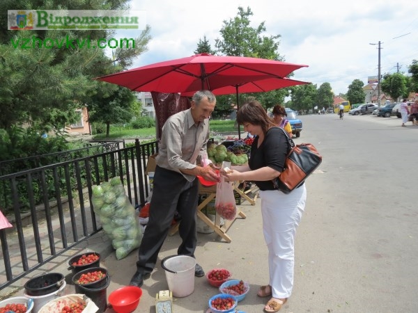 Фото до матеріалу: Сезон ягід у розпалі: ціни, користь та секрети вибору на ринках України