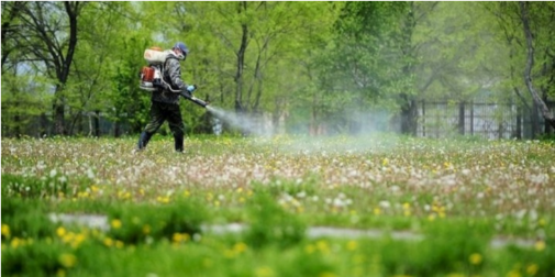 Фото до матеріалу: У Володимирі забороняють відвідувати парки через обробку від кліщів