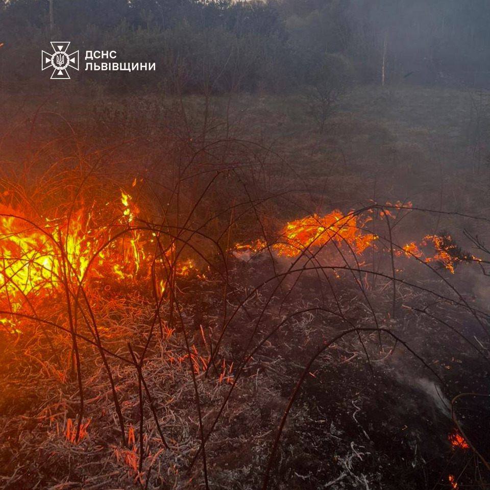 Фото до матеріалу: На Львівщині вирували потужні пожежі: з'явилися фото