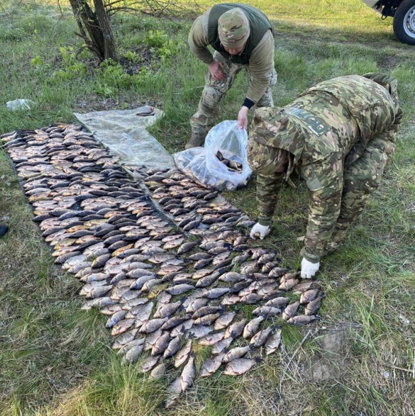 Фото до матеріалу: На Черкащині затримали браконьєра з рибою на понад 800 тисяч гривень