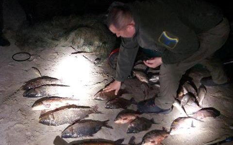 Фото до матеріалу: Відкрито реєстрацію на відбіркові змагання «Ігри Ветеранів 2026»