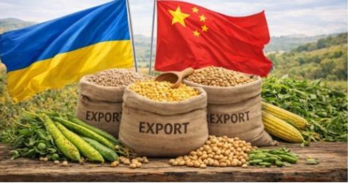 Фото до матеріалу: Китай висуває суворі вимоги до зернових, які планують експортувати з Вінниччини – обстеження починають на ранніх стадіях