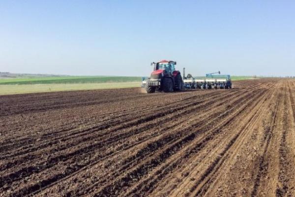 Фото до матеріалу: Мінекономіки змінює правила експорту сої та ріпаку в Україні на 2026 рік