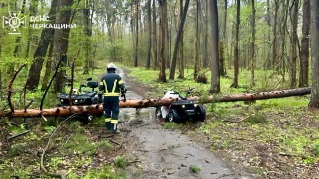 Фото до матеріалу: День кондитера 2026: найкращі привітання для майстрів солодощів