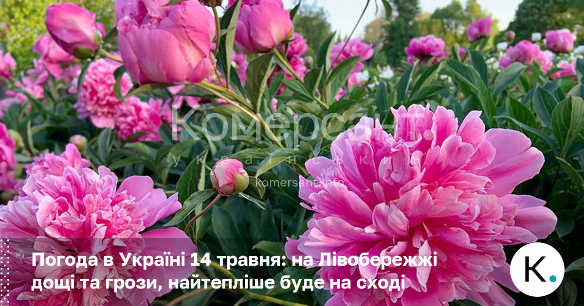 Фото до матеріалу: Погода в Україні 14 травня: дощі на Лівобережжі, сонце на сході