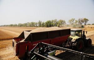Фото до матеріалу: Продажі української агротехніки зросли на 52%: держава продовжує виплачувати компенсації