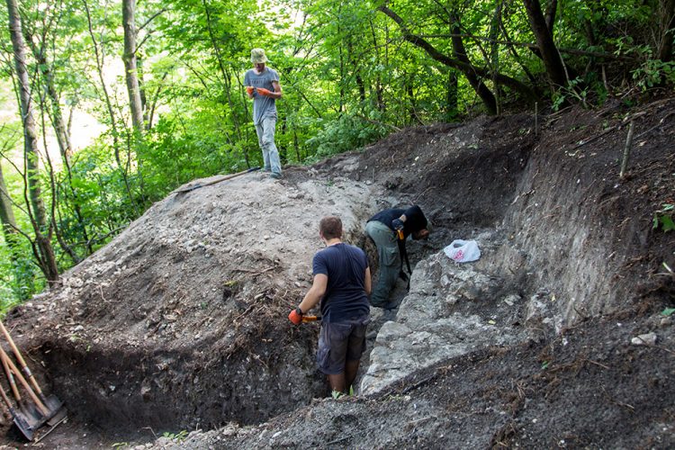 Фото до матеріалу: Археологи уточнили дату виникнення Городка: містечко існувало з XIV століття