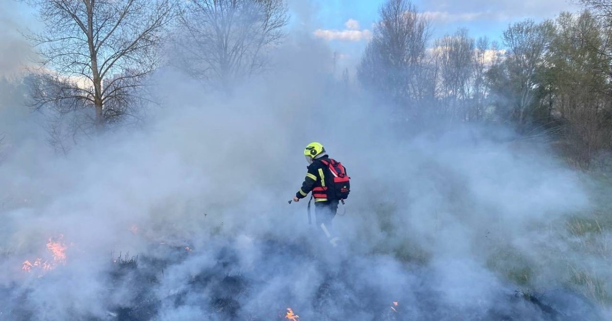 Фото до матеріалу: Пожежі в екосистемах України: загроза для природи та життя. Огляд ситуації