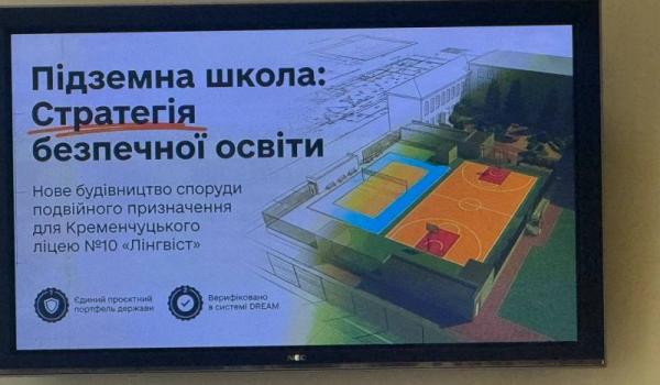Фото до матеріалу: У Горішніх Плавнях випустили на волю шістьох лебедів: історія дива та нової родини