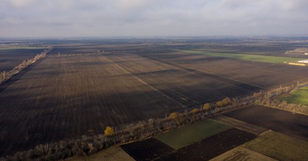 Фото до матеріалу: Понад 5 тисяч гектарів державних земель Одещини вийшли на аукціон