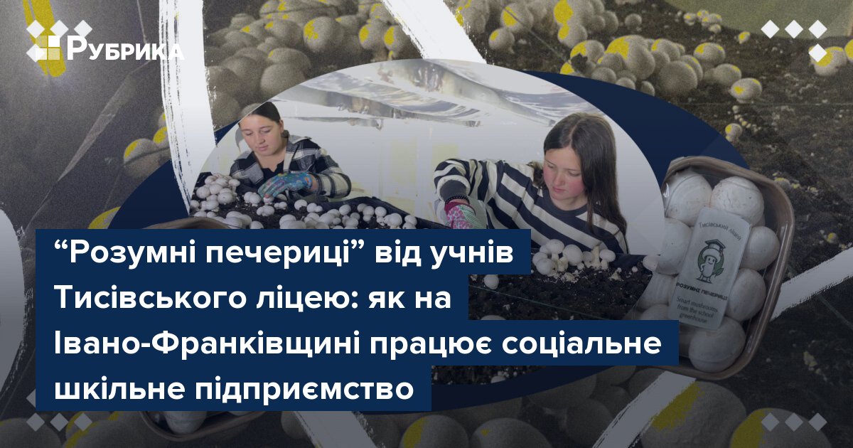 Фото до матеріалу: У Тисівському ліцеї запустив соціальне шкільне підприємство «Розумні печериці»: як учні вирощують гриби та допомагають інвалідам