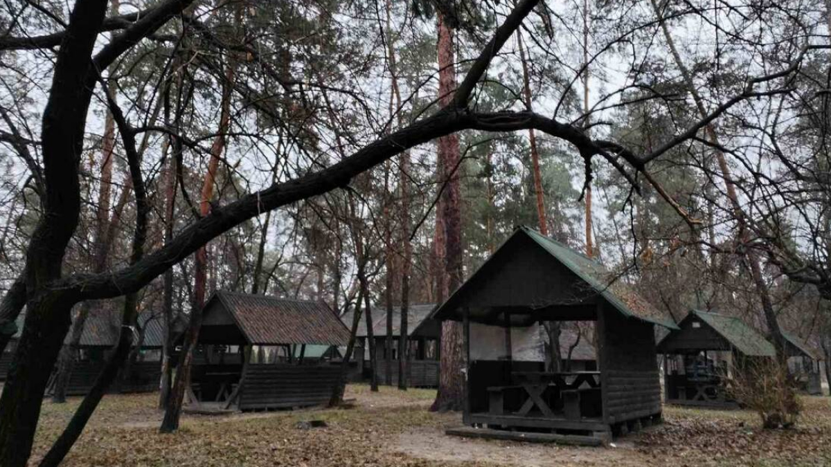 Фото до матеріалу: У парку "Партизанська слава" демонтували кафе та альтанки, які були встановлені без дозволів