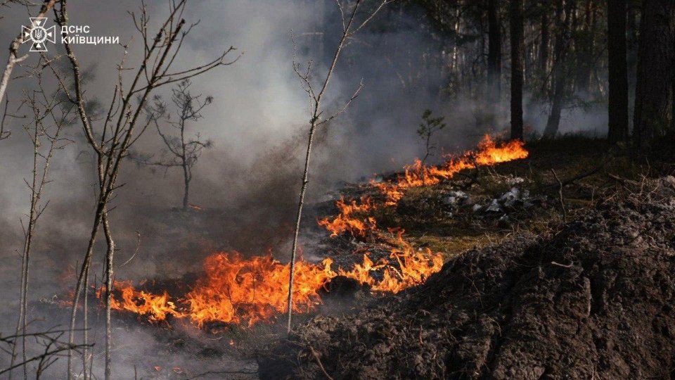 Фото до матеріалу: Пожежа у Чорнобильській зоні відчуження: який рівень радіації зараз (фото)