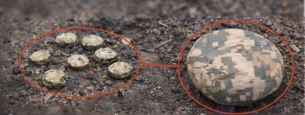 Фото до матеріалу: РФ зірвала режим тиші: масовані атаки на Суми, Харків та Запоріжжя, жертви серед цивільних