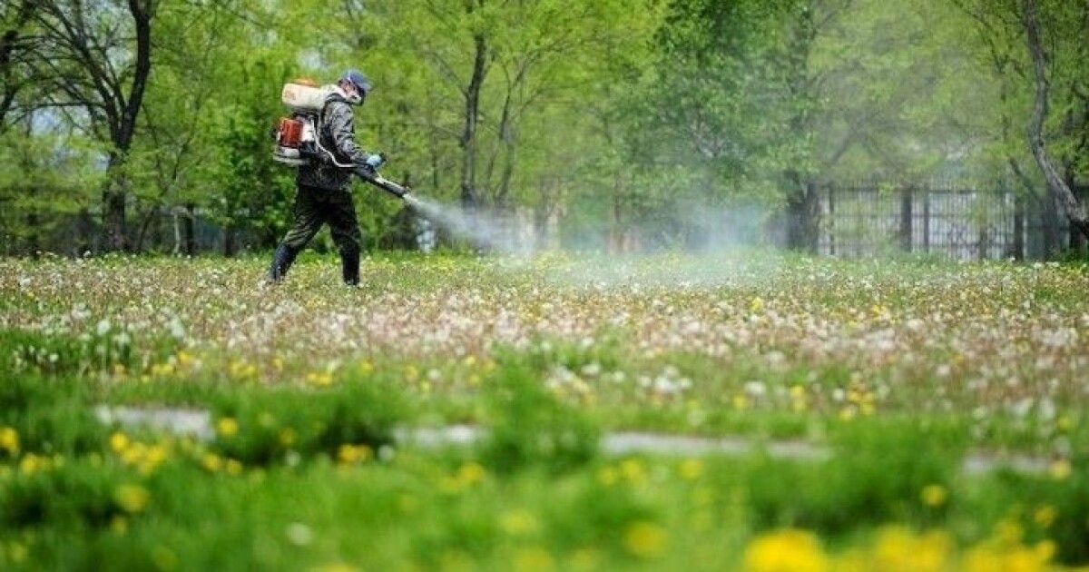 Фото до матеріалу: У Володимирі проведуть обробку парків від кліщів: де і коли