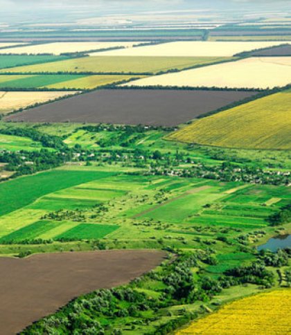 Фото до матеріалу: Дві фірми оштрафували за змову на аукціоні землі на Львівщині