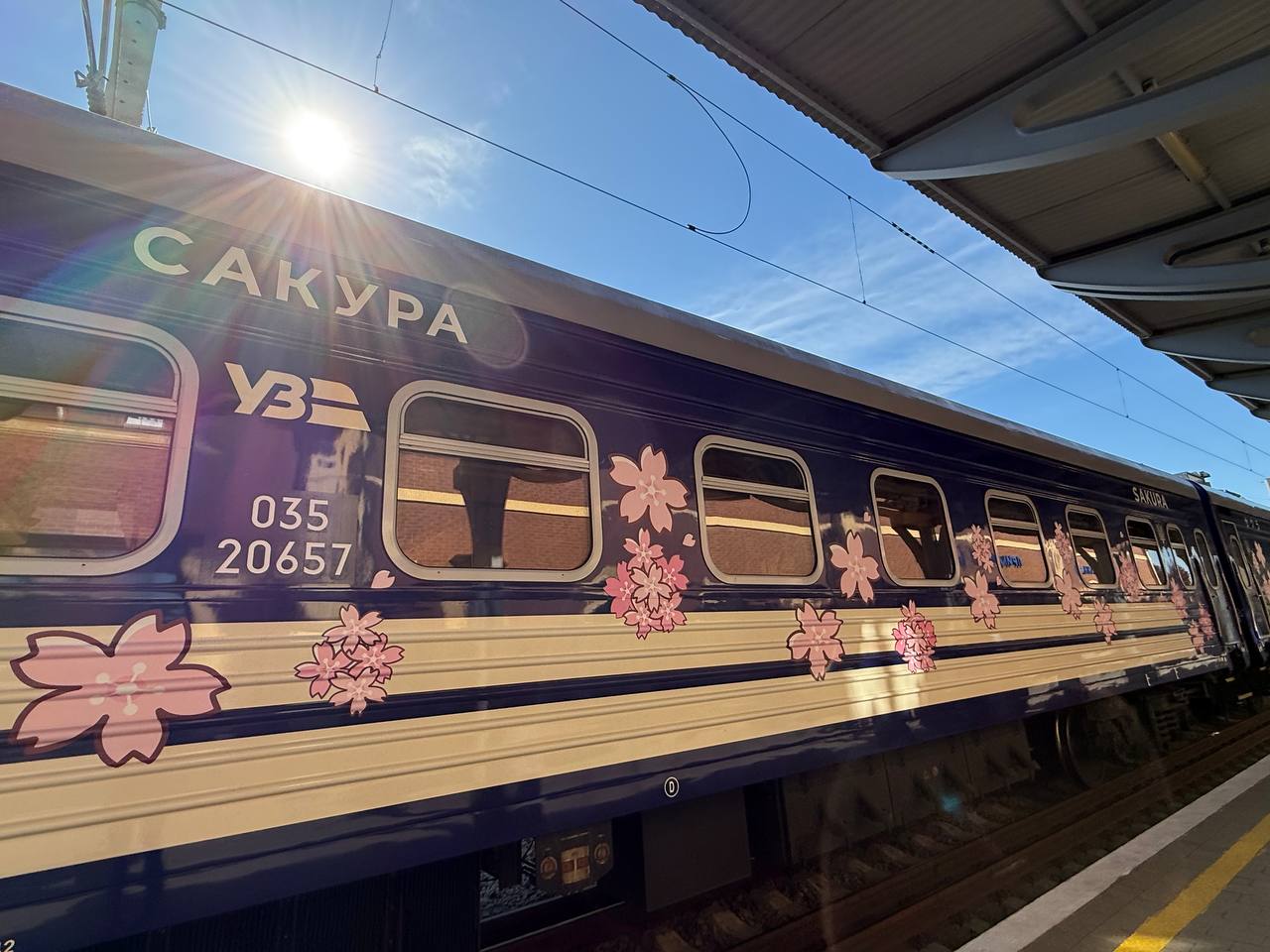 Фото до матеріалу: До Ужгорода прибув перший поїзд «Сакура» з Києва: у квітах та з настільними японськими іграми