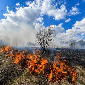Фото до матеріалу: На Львівщині за добу спалили понад 2,4 га землі: рятувальники попереджають про штрафи