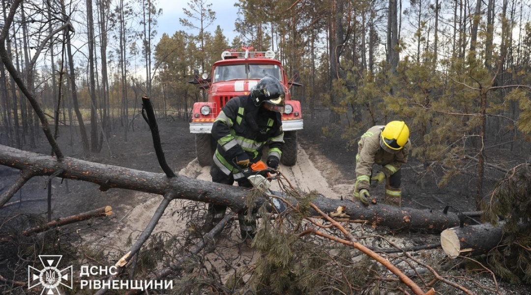 Фото до матеріалу: Лісові пожежі охопили чотири області України: площа займання сягає 2 тисяч гектарів