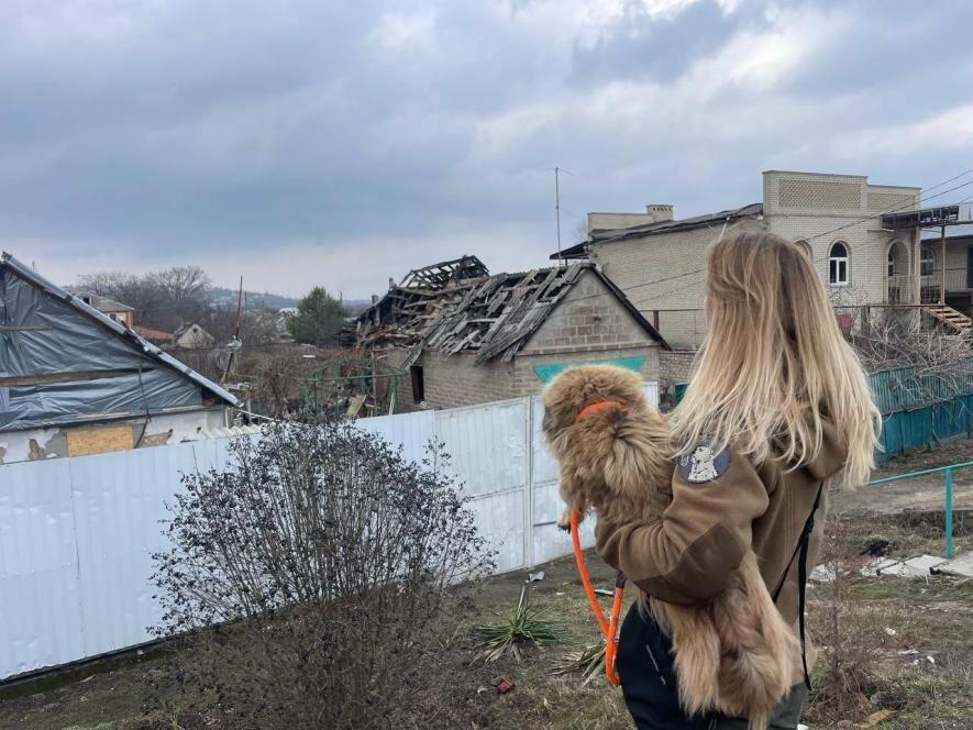 Фото до матеріалу: Продовження проєкту «Купуй – рятуй»: 302 тварини вибратися з небезпечних територій