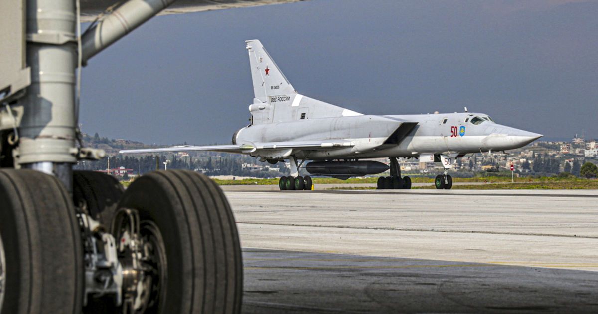 Фото до матеріалу: Як захистити врожай у садах Володимира від птахів: простий лайфгак садівниці